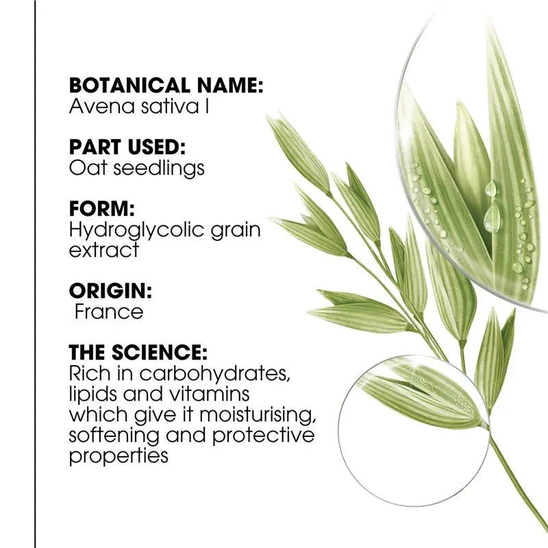 Tinted Dry Shampoo with Oat and Ceramide