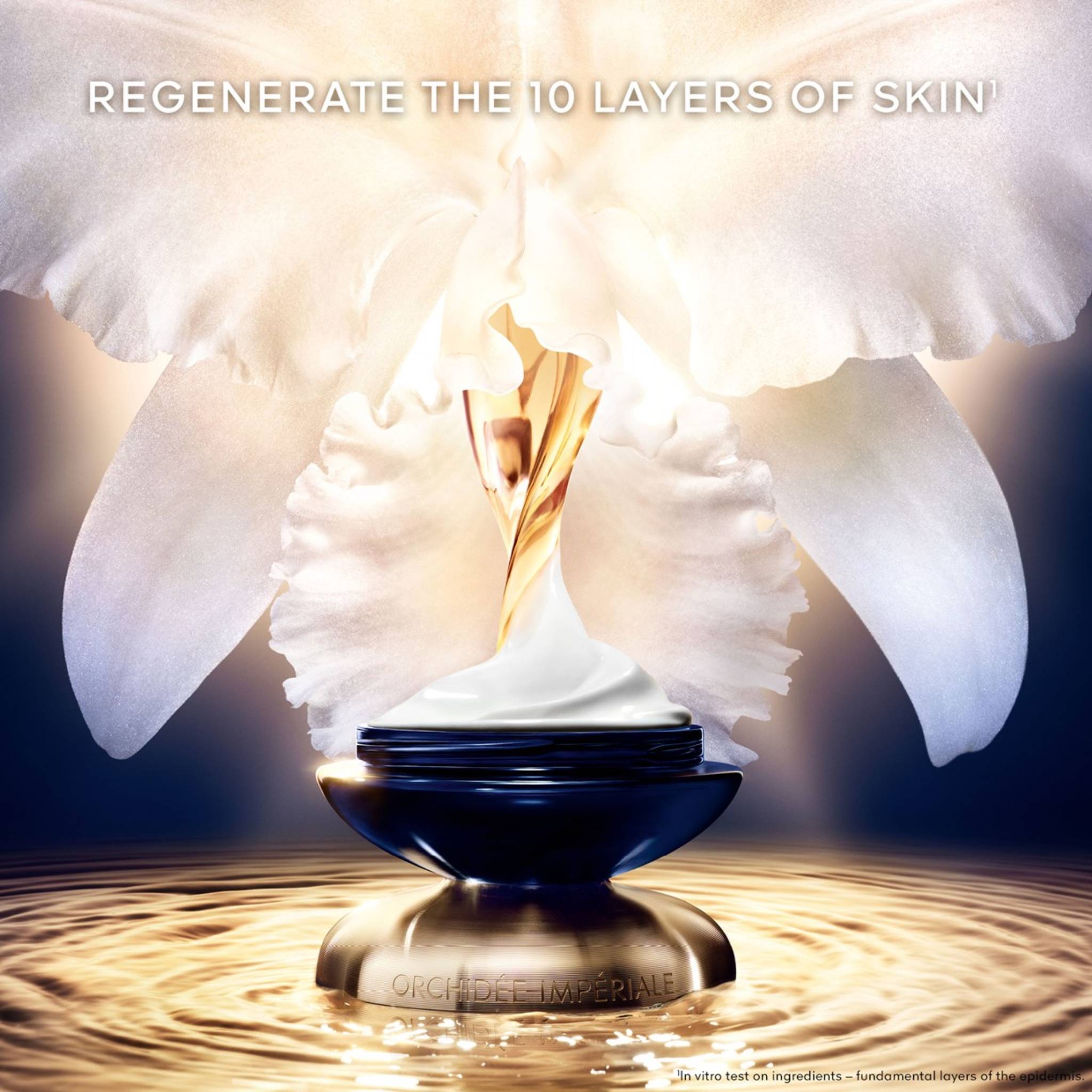Orchidee Imperiale The Rich Cream