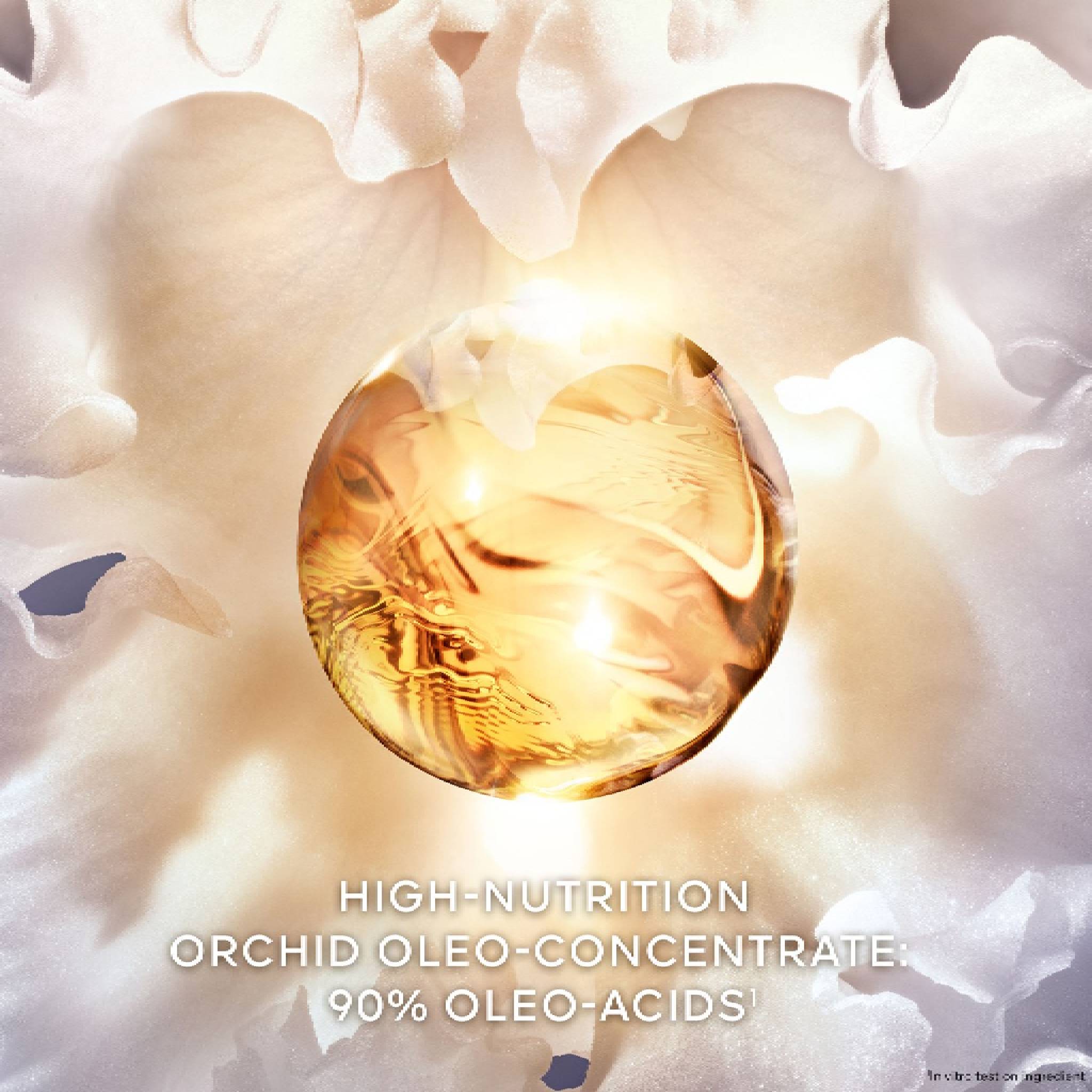Orchidee Imperiale The Rich Cream