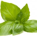 Thai Basil
