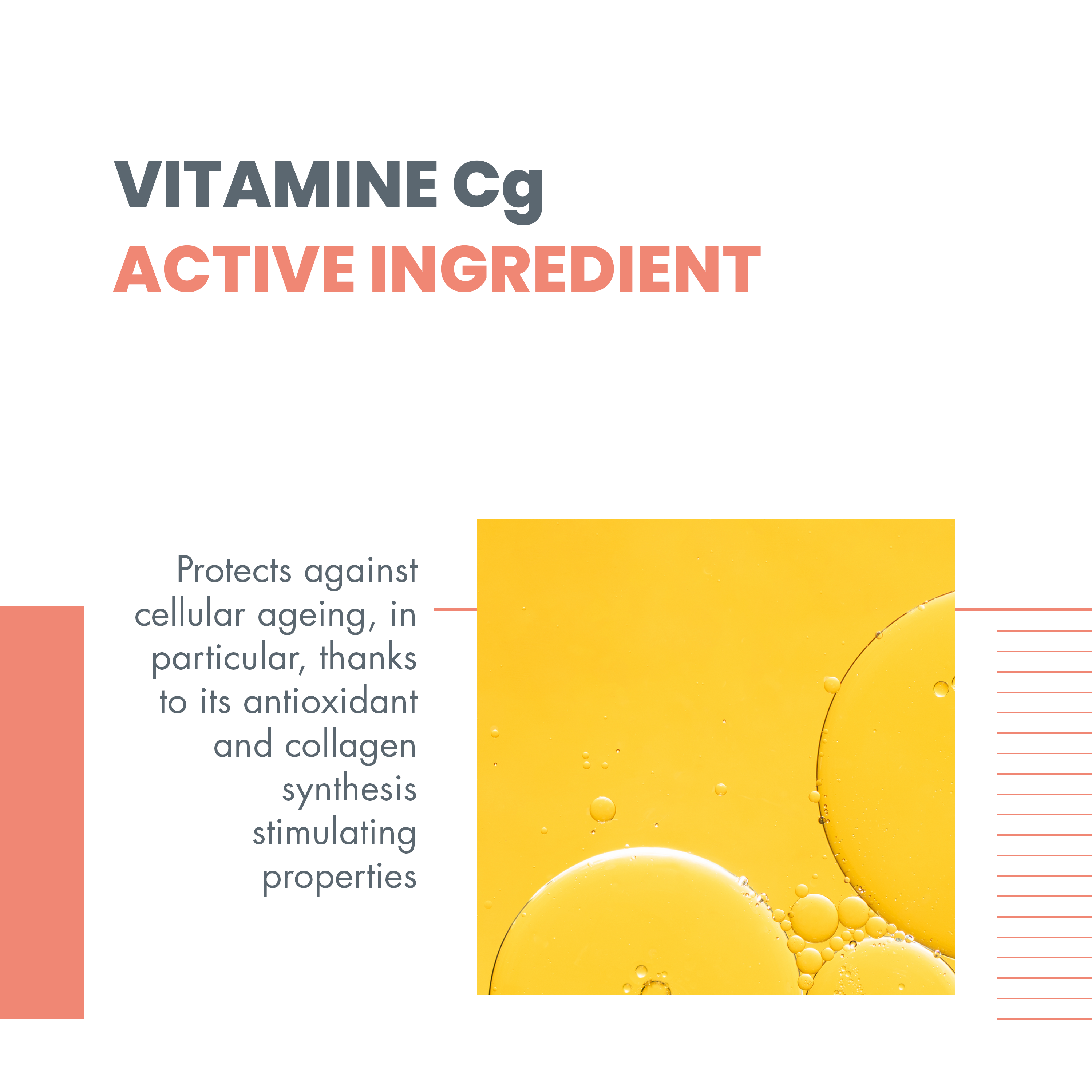 Intensive Radiance Vitamin Activ Cg Cream