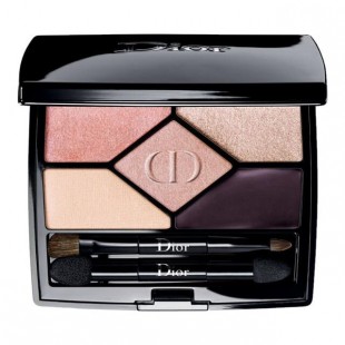  5 Couleurs Designer All In One Professional Eye Palette 