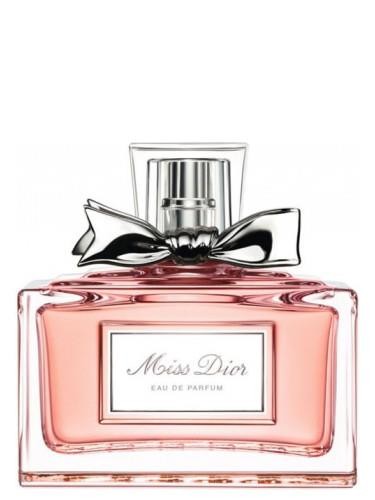 dior micro 30 montaigne