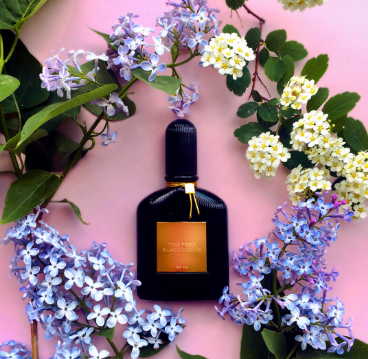 Black orchid 100ml online