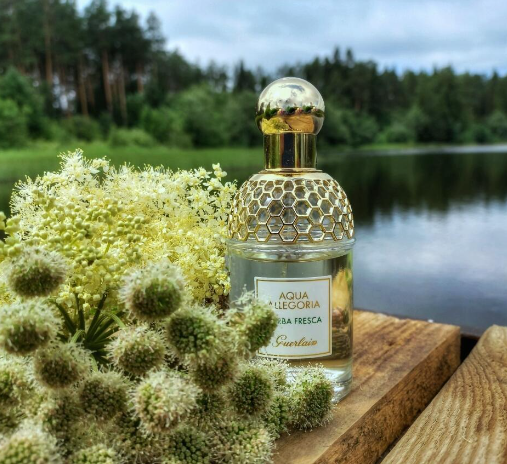 Guerlain herba fresca sale
