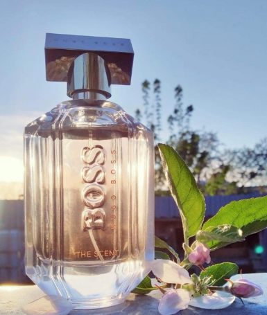 Boss the scent intense edp shop