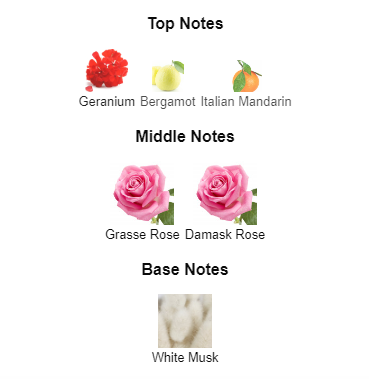 Rose n roses online