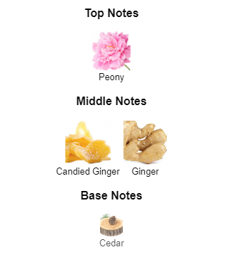 Hermes twilly notes shop