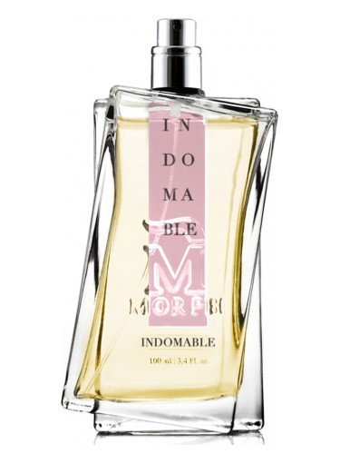 Indomable Instense Eau De Parfum 100ml